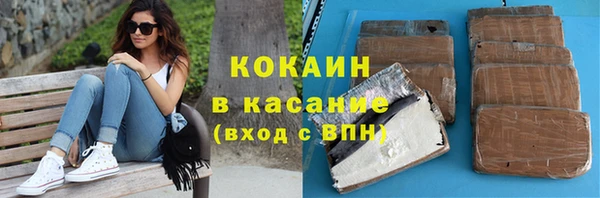 ГАЛЛЮЦИНОГЕННЫЕ ГРИБЫ Михайлов