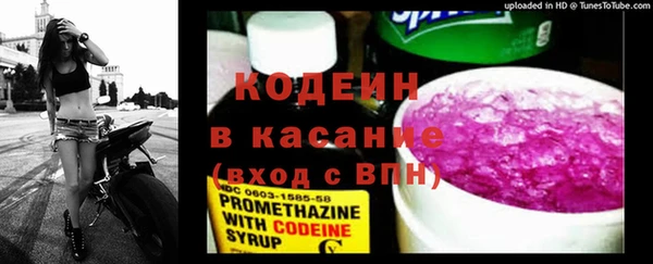 прущие грибы Михайловка