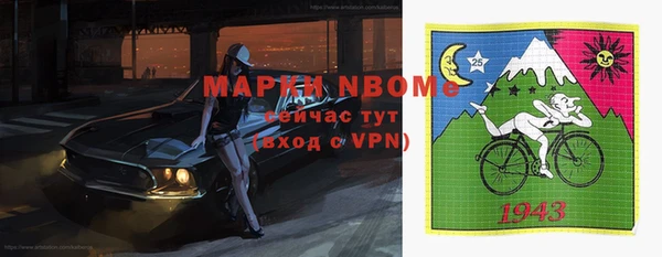 ГАЛЛЮЦИНОГЕННЫЕ ГРИБЫ Михайлов