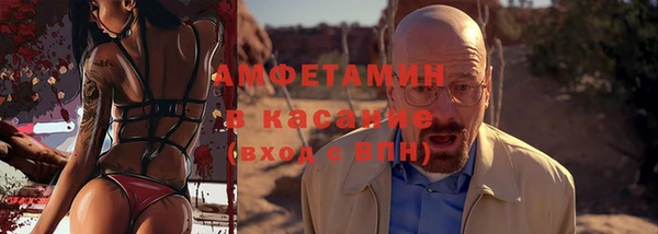 ГАЛЛЮЦИНОГЕННЫЕ ГРИБЫ Михайлов