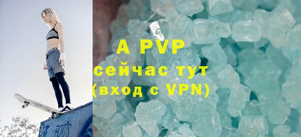 прущие грибы Михайловка
