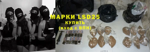ГАЛЛЮЦИНОГЕННЫЕ ГРИБЫ Михайлов