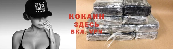 прущие грибы Михайловка