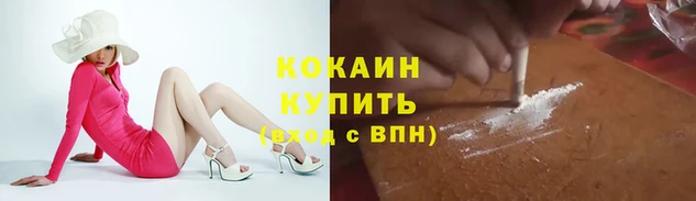 прущие грибы Михайловка