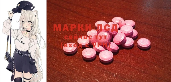 ГАЛЛЮЦИНОГЕННЫЕ ГРИБЫ Михайлов
