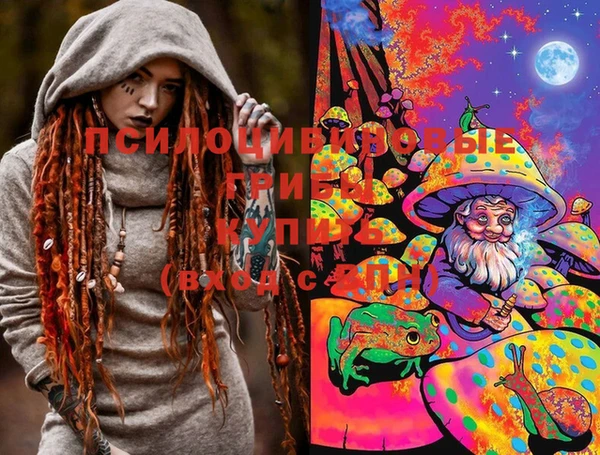 ГАЛЛЮЦИНОГЕННЫЕ ГРИБЫ Михайлов
