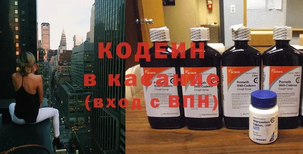 прущие грибы Михайловка