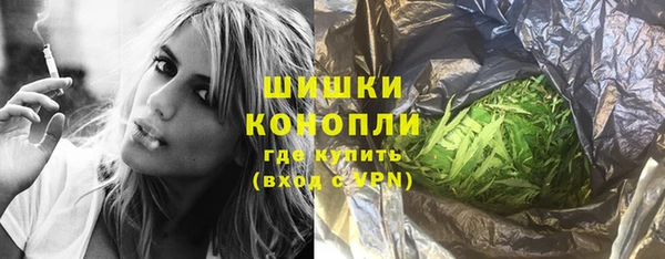 прущие грибы Михайловка
