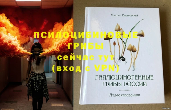 прущие грибы Михайловка