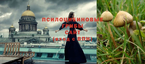 ГАЛЛЮЦИНОГЕННЫЕ ГРИБЫ Михайлов