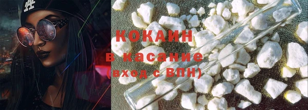 прущие грибы Михайловка