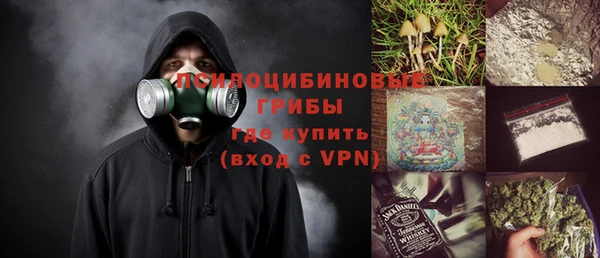 ГАЛЛЮЦИНОГЕННЫЕ ГРИБЫ Михайлов