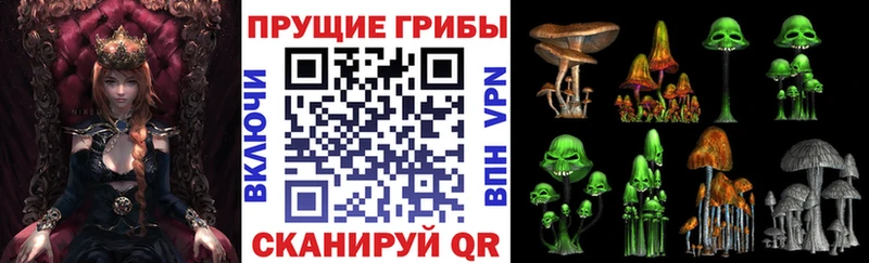 Псилоцибиновые грибы MAGIC MUSHROOMS  Купить закладки  Полярный 