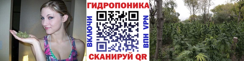 Марихуана тримм  Купить где  Полярный 